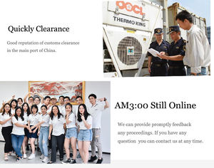 Transporte marítimo de carga aérea de Swwls/tarifas de <span class=keywords><strong>China</strong></span> a México/Noruega/Suecia/Suiza/España - Product Image 3