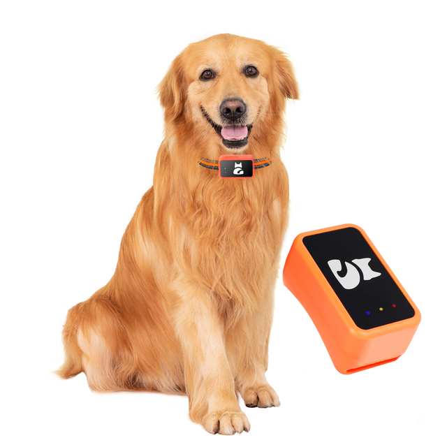 Factory OEM ODM G68P 4G Pet Dog Cat GPS Tracker Waterproof with Free APP Smart Collar Real Time Tracking Activity Monitoring Hot