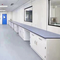Banc de travail industriel en acier pour salle blanche, avec plan de travail en époxy, pour laboratoire universitaire