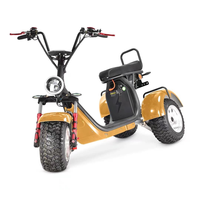 Scooter Eléctrico de 3 Ruedas Citycoco 2026 de 3000w/4000w con Dos Baterías Extraíbles de 60v40H/20AH / Triciclo Eléctrico