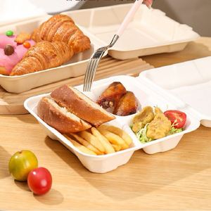 Boîte en bagasse de canne à sucre de haute qualité, conteneur rectangulaire jetable pour hamburgers, sandwichs et barbecues en plein air - Product Image 1