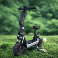 Trottinette électrique intelligente électronique 13 pouces