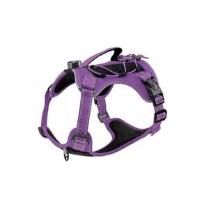 2026 desain baru USB isi ulang rompi hewan peliharaan lampu berkedip Harness bercahaya keselamatan malam anjing <span class=keywords><strong>Led</strong></span> lampu Harness - Product Image 2