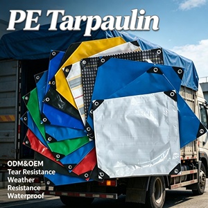 Telo in PE Impermeabile Personalizzato Rinforzato con <span class=keywords><strong>Occhielli</strong></span>, Resistente ai Raggi UV, <span class=keywords><strong>per</strong></span> Copertura Auto, Agricoltura e Protezione Esterna - Product Image 1