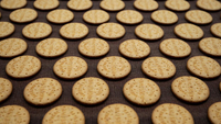 Machine automatique à biscuits au sucre Ligne de production de biscuits Machine de fabrication de biscuits