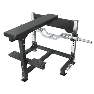 Shizhuo, nuevo diseño, entrenamiento, gimnasio, Fitness, fuerza, entrenamiento ajustable, <span class=keywords><strong>remo</strong></span>, tracción Horizontal, <span class=keywords><strong>Banco</strong></span> de fila de sello propenso - Product Image 1