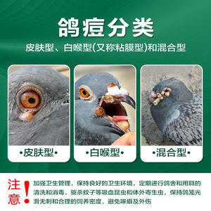 Suplemento Vitamínico con Plantas Naturales en Tabletas para la Viruela Aviar, Protección y Eliminación de la Viruela en Aves, Seguro para Todas las Etapas de la Vida - Product Image 4