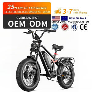 EU USA UK Dropshipping Eahora <span class=keywords><strong>LUNA</strong></span> <span class=keywords><strong>2</strong></span> 1000W 48V 20Ah Batterie au lithium 7 vitesses Cadre en acier Moteur de moyeu arrière Vélo électrique intelligent de ville - Product Image 1