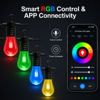Guirlandes lumineuses intelligentes à ampoules PC S14 incassables, lumières féériques LED RGB à changement de couleur avec câble en caoutchouc robuste pour une utilisation en extérieur