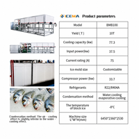 Machine à fabriquer des blocs de glace industrielle ICEMA, grande capacité 1T~20T/24H, refroidissement direct, nouvelle, compresseur de stockage de 50 kg, moteur principal, vente en usine