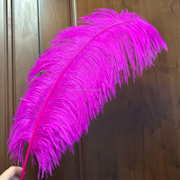28-30 pouces 70-75 cm grandes plumes d'autruche afrique du sud plumes d'autruche pour décorations de mariage fête événement carnavals