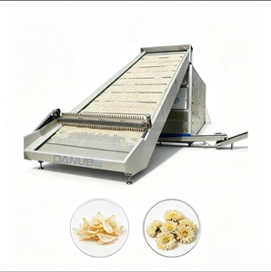 Máquina deshidratadora de malla continua con cinta transportadora industrial para el procesamiento de frutas, verduras y alimentos. - Product Image 1