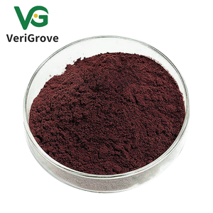 مسحوق خلاصة بذور العنب عالي الجودة من OPC Proanthocyanidin - Product Image 3