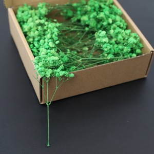 <span class=keywords><strong>Flores</strong></span> de Gypsophila Preservadas 50g Venta <span class=keywords><strong>al</strong></span> <span class=keywords><strong>por</strong></span> <span class=keywords><strong>Mayor</strong></span> de Fábrica <span class=keywords><strong>Flores</strong></span> <span class=keywords><strong>Secas</strong></span> Naturales Ramo de <span class=keywords><strong>Flores</strong></span> de Aliento de Bebé - Product Image 4