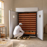 Incubateur solaire et éclosoir d'oeufs 2640 intelligents de nouvelle conception pour le canard et les oies de poulet