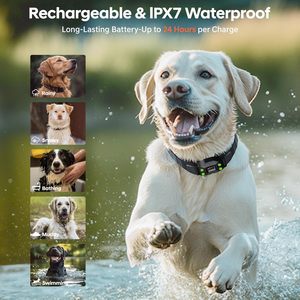 Système de clôture GPS Pyrodum pour chien, portée de 25 à 999 yards, suivi en temps réel, encadrement des animaux, sécurité extérieure - Product Image 6