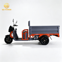 Triciclo de Carga Pesada con Motor de 1200W, Capacidad de Carga de 700 kg, para Transporte de Productos Agrícolas