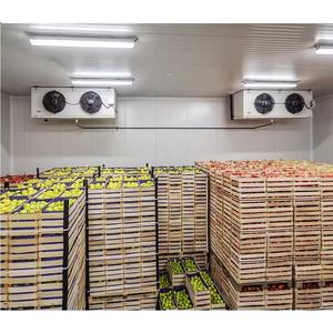 冷凍庫クーラーで歩く魚の冷蔵室 - Product Image 6