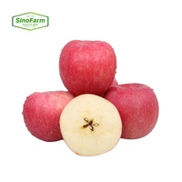 Verse rode Fuji appels groothandel - Premium kwaliteit, concurrerende prijs, export naar China