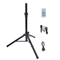Système de sonorisation professionnel pour karaoké sans fil avec caisson de basses de 10 pouces 1000W, boîte DJ, système de sonorisation PA, lumière LED pour fête, TWS-Mic-ECHO-FM Bocina Parlant