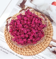10Kg 1Kg Gevriesdroogd Rood Dragon Fruit Uit China Bulk Vers Dragon Fruit In Blokjes Gesneden Sap Jam Fd Droogproces
