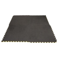 Tapis de Taekwondo Hydefoam à base stable 1M X 1M, emboîtables, pour salle de sport à domicile, aire de jeux, importateur direct d'usine, tapis en EVA