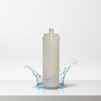 Cartouche filtrante à membrane d'ultrafiltration Socket, fibre PAN, filtration 0,01 μm, boîtier PP de qualité alimentaire, conserve les minéraux