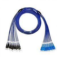 Câble de raccordement en fibre optique blindé anti-rongeurs 10G à 12 fibres monomode, salle informatique, cybercafé, fibre de queue