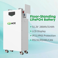 Sistema de Almacenamiento de Energía Solar Portátil con Batería LFP de 16.07kWh y 51.2V, con Ruedas, Interruptor de Circuito, Bluetooth, WIFI y Monitoreo Inteligente