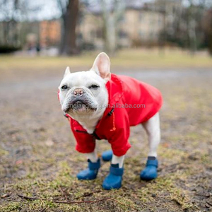 Impermeable para Perros, Ropa para Mascotas Pequeñas, Ropa y Accesorios para Mascotas, Venta al Por Mayor - Product Image 6