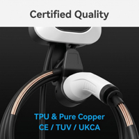 Precio de Fábrica OEM ODM Estación de Carga para Vehículos Eléctricos de 7kW 11kW Montada en Pared, Cargador Rápido AC para BYD MG Tesla con Cable Tipo 2 de 5M 10M