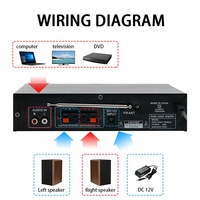 LDZS Mini HIFI Amplificateur stéréo numérique 2 canaux Surround Sound Car Power Amp avec télécommande FM USB pour KTV Metal Material