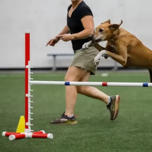 Usmilepet sự nhanh nhẹn nhảy trở ngại thiết kế mới nhựa PET thiết bị đào tạo cho chó Đào Tạo - Product Image 2