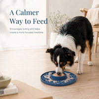 Nouveau bol à lécher pour chien en silicone de qualité alimentaire, grande taille, motif uni, alimentation lente, anti-renversement et anti-étouffement