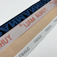 Hualiu Usine Logo Personnalisé Jacquard Web Tissu Bande Élastique Nylon Impression Conception Sous-Vêtements Ceinture