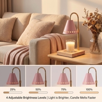 Lampe chauffe-bougie personnalisée avec logo d'usine, minuteur, intensité réglable, rose, parfumée, pour la Saint-Valentin
