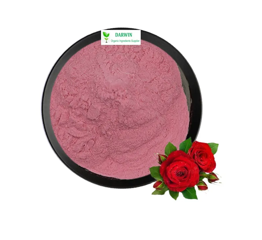 Private Label 100% Natural Water Soluble Rose Petal Powder Rose Powder