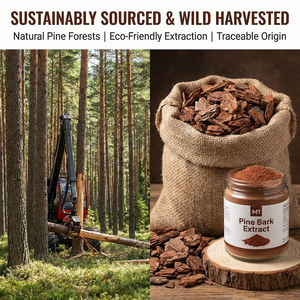 Doğal Yabani Çam Kabuğu Ekstresi Yüksek İçerikli OPC (Oligomerik Proantosiyanidinler) %98 Saf Sağlık Gıda Sınıfı Antioksidan Tozu 2 - Product Image 2