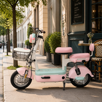 Vélo électrique deux places pour adultes, moteur central 48V 450W, batterie au plomb-acide, cadre en acier au carbone, vélo de ville pour trajets quotidiens