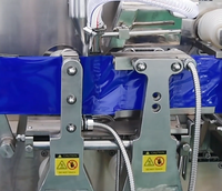 Machine de remplissage automatique haute précision pour boissons et produits chimiques, contrôlée par PLC, pour liquides visqueux et poudres (miel, shampoing, gel) en sachet
