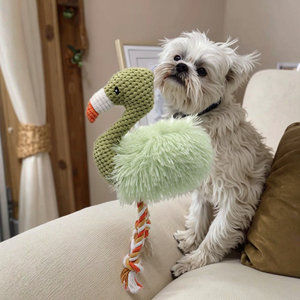 Fabrika yüksek kalite benzersiz tasarlanmış Pet peluş hayvanlar devekuşu Flamingo şekilli oyuncaklar güvenli squeagıcırtılı pamuk PP halat köpek oyuncaklar - Product Image 3