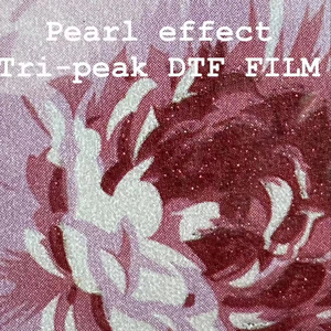 Transferts de films transparents à paillettes personnalisés Nu Custom Glitter, prix d'usine, livraison Fedex/Dhl incluse - Product Image 1