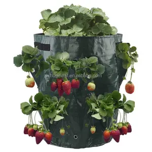 8 карманов Пластиковый садовый клубничный мешок для растений на открытом воздухе мешки для выращивания овощей