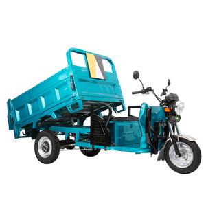 Triciclo de Carga Pesada de 1000W, Vehículo de Tres Ruedas para Transporte de Adultos, Entrega de Mercancías Agrícolas, Producto Más Vendido - Product Image 1