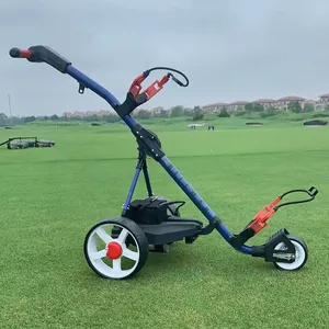 Carrito de Golf eléctrico, carrito de golf con batería de litio, batería de plomo ácido, 12V, Color azul