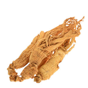 Suplemen makanan bubuk <span class=keywords><strong>Ginseng</strong></span> Siberia bubuk <span class=keywords><strong>Ginseng</strong></span> Siberia dari <span class=keywords><strong>Ginseng</strong></span> Siberia - Product Image 3