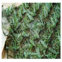 Tissu en dentelle irrégulière décorative brodée pour robes de scène féminines, tissu de créateur en gros pour robes en algues marines