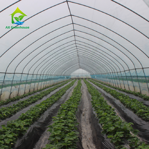 Film de polythène en <span class=keywords><strong>plastique</strong></span> à portée unique de haute qualité <span class=keywords><strong>Tunnel</strong></span> de squelette en acier galvanisé élèvent la serre de tente <span class=keywords><strong>pour</strong></span> les <span class=keywords><strong>semis</strong></span> - Product Image 3