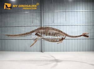 Mon modèle <span class=keywords><strong>de</strong></span> squelette <span class=keywords><strong>de</strong></span> Plesiosaurus, animal préhistorique artificiel, <span class=keywords><strong>simulation</strong></span> Dino <span class=keywords><strong>DS</strong></span>-114 - Product Image 5