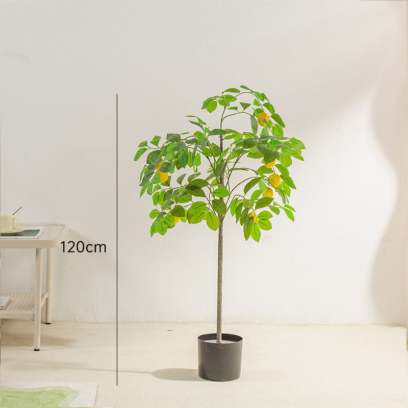 120cm